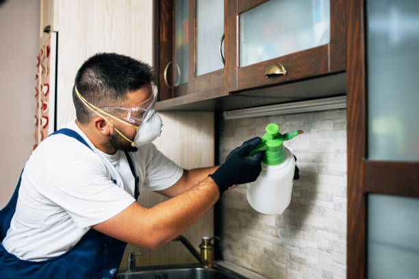 Best Affordable Pest Control Services  in Shady Spring, WV