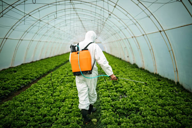 Reliable Shady Spring, WV Pest Control Solutions